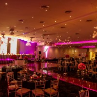 Paradiso Receptions 